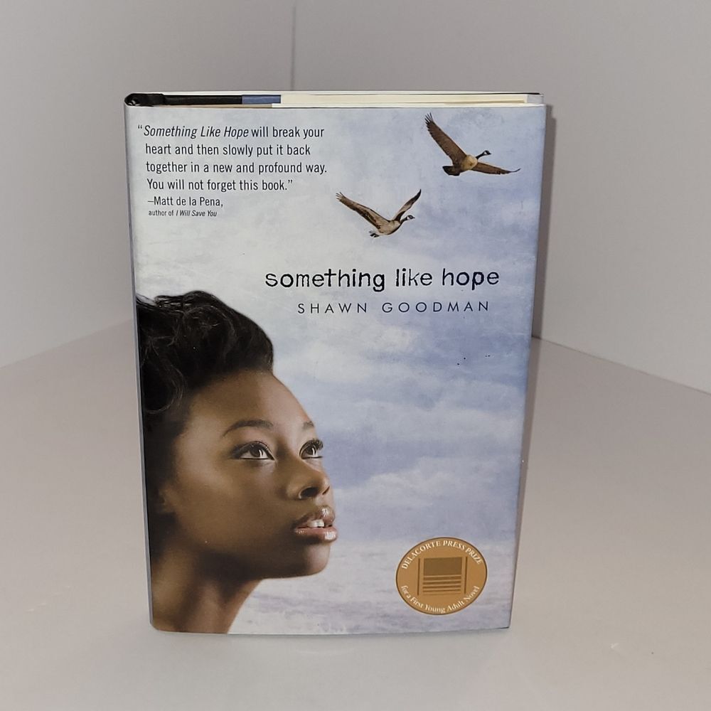 Something Like Hope by Shawn Goodman Hardcover